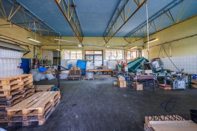 Lokal Zawichost, ul. Krochmalna. Zdjęcie 14