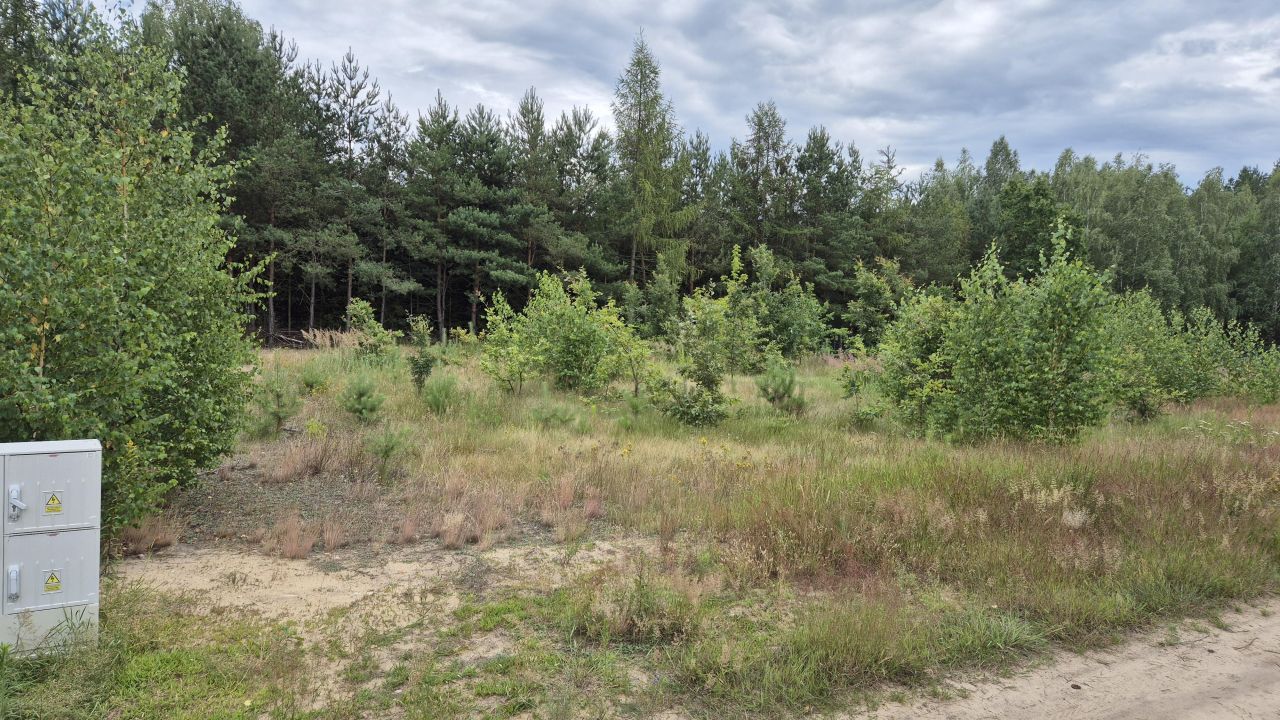 Działka rolno-budowlana Zabłocie. Zdjęcie 5