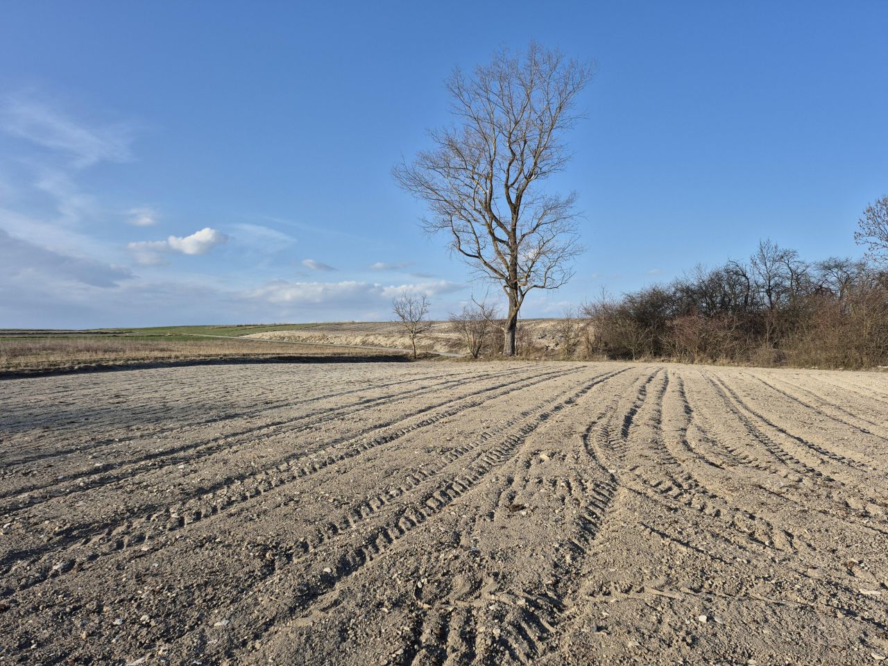 Działka budowlana Zaryszyn. Zdjęcie 12