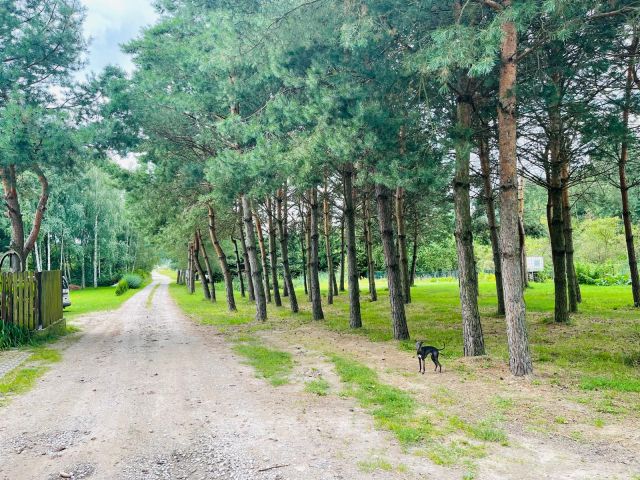 Działka budowlana Głosków, ul. Mewy. Zdjęcie 6