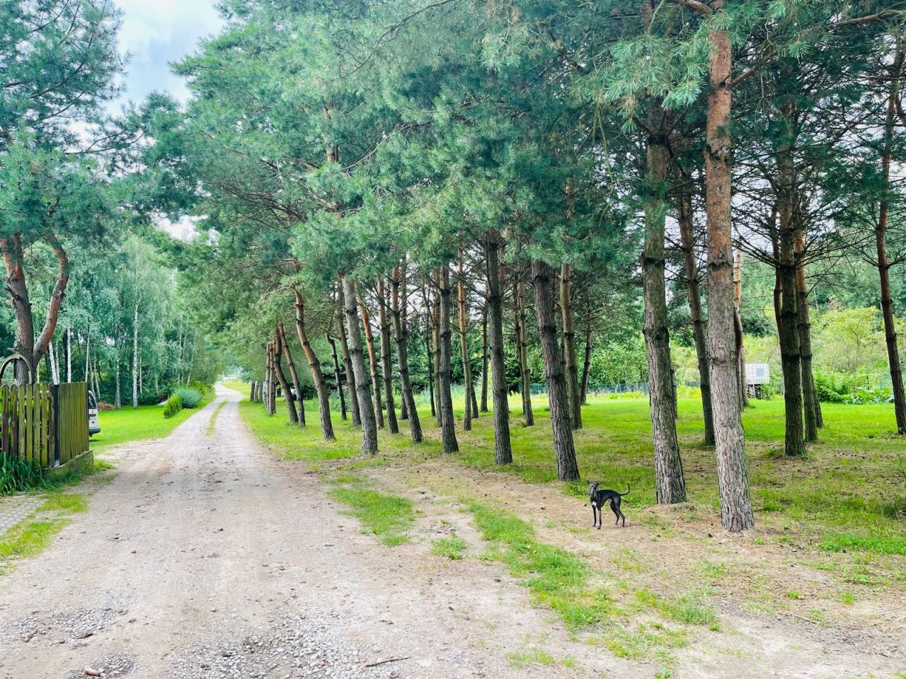 Działka budowlana Głosków, ul. Mewy. Zdjęcie 6