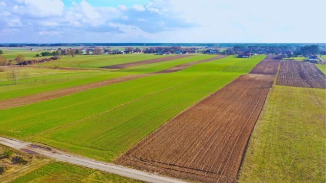 Działka budowlana Stare Modzele. Zdjęcie 8
