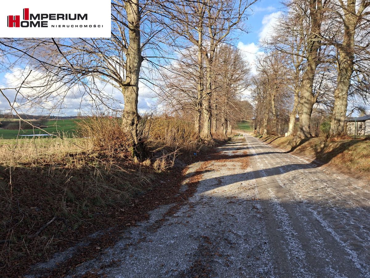 Działka rolna Janiewice. Zdjęcie 10