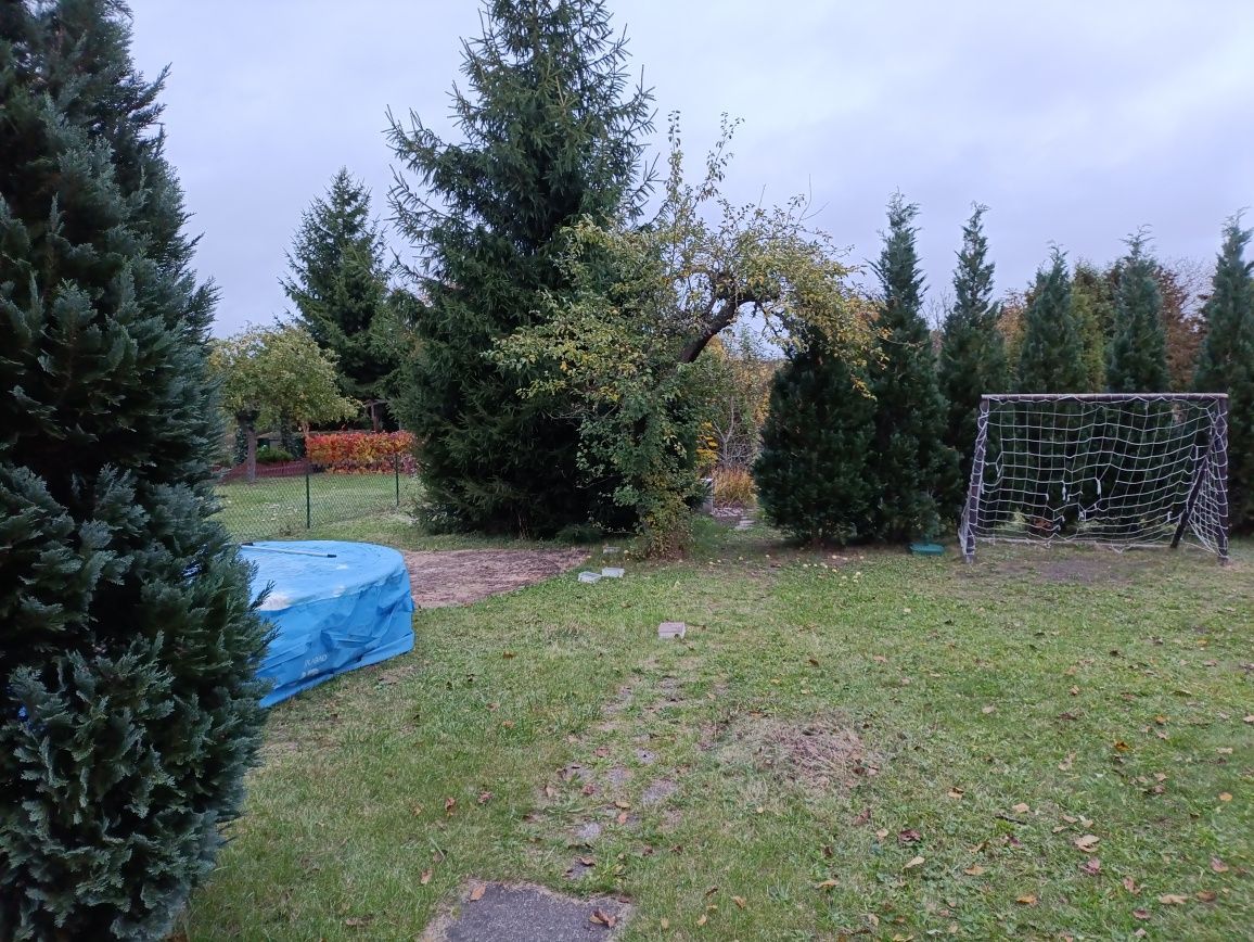 Działka rod Żagań. Zdjęcie 3