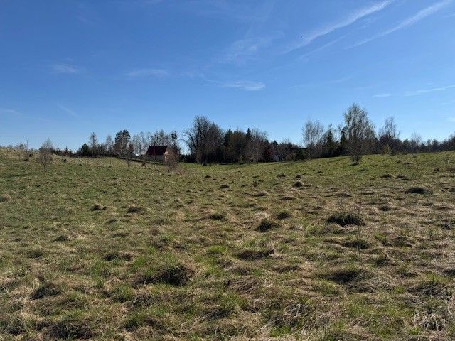 Działka rekreacyjna Stary Gieląd. Zdjęcie 3