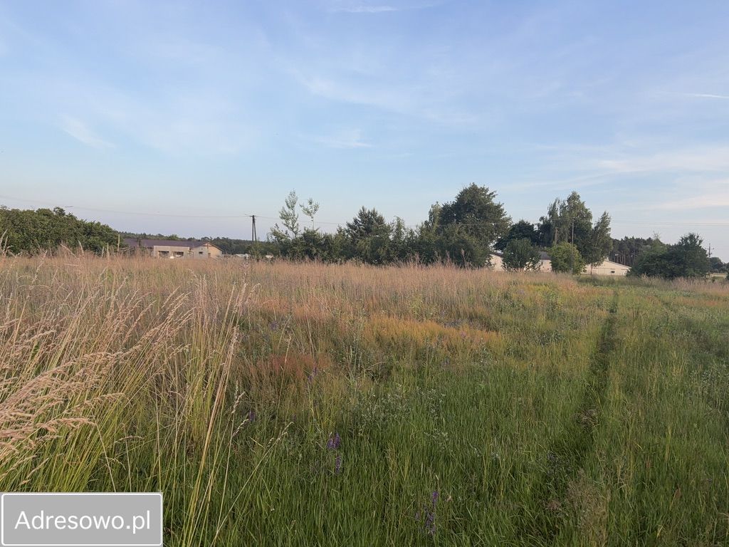 Działka rolno-budowlana Radziwiłłów. Zdjęcie 9
