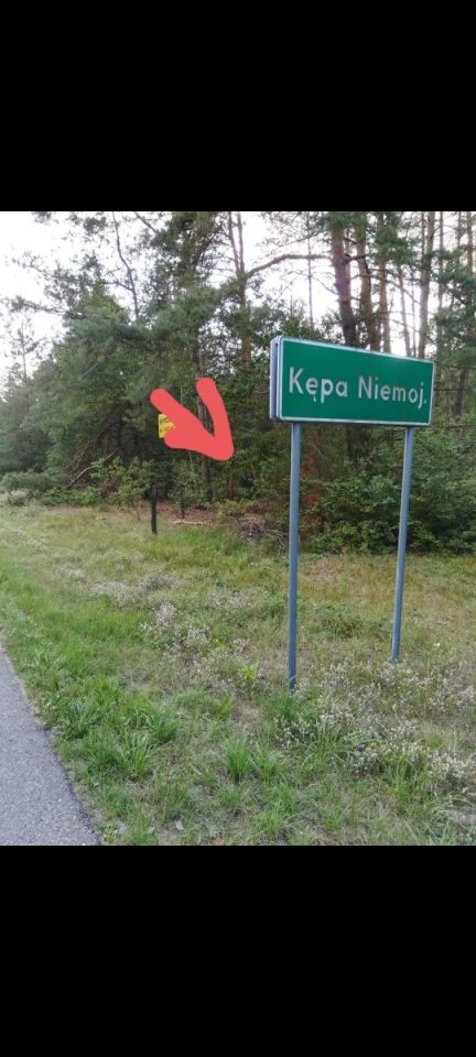 Działka leśna Kępa Niemojewska. Zdjęcie 1