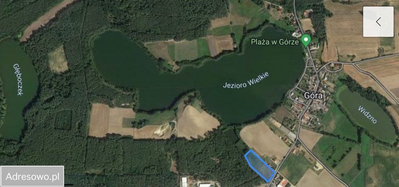 Działka rolno-budowlana Góra. Zdjęcie 2