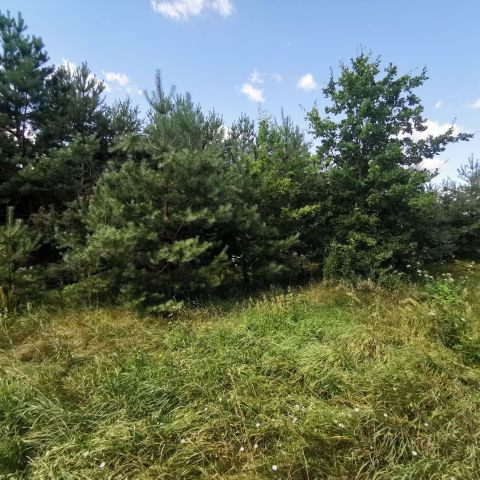 Działka Mogielnica. Zdjęcie 1