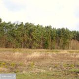 Działka budowlana Ossa. Zdjęcie 1