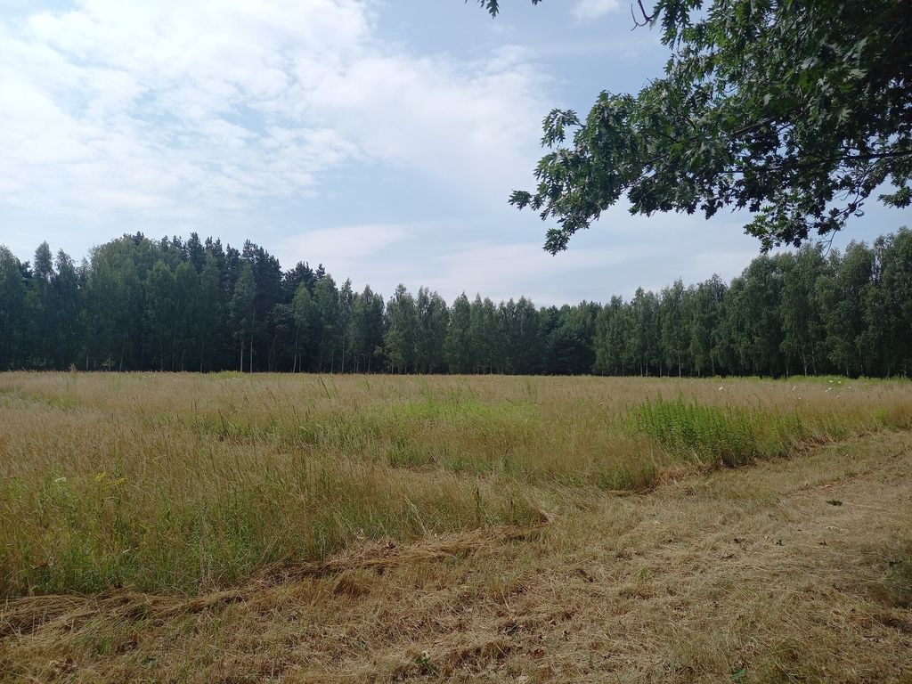 Działka budowlana Korzeniówka. Zdjęcie 6