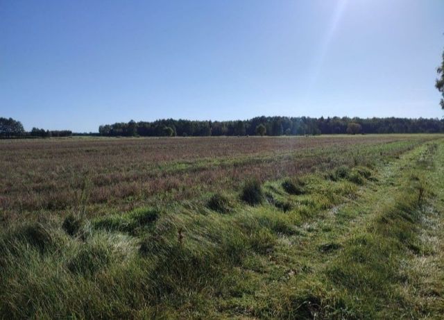 Działka Szczypiornia. Zdjęcie 1