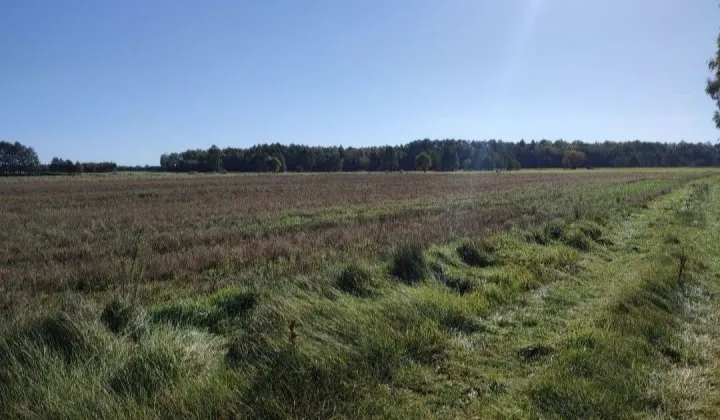 Działka Szczypiornia