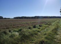 Działka Szczypiornia