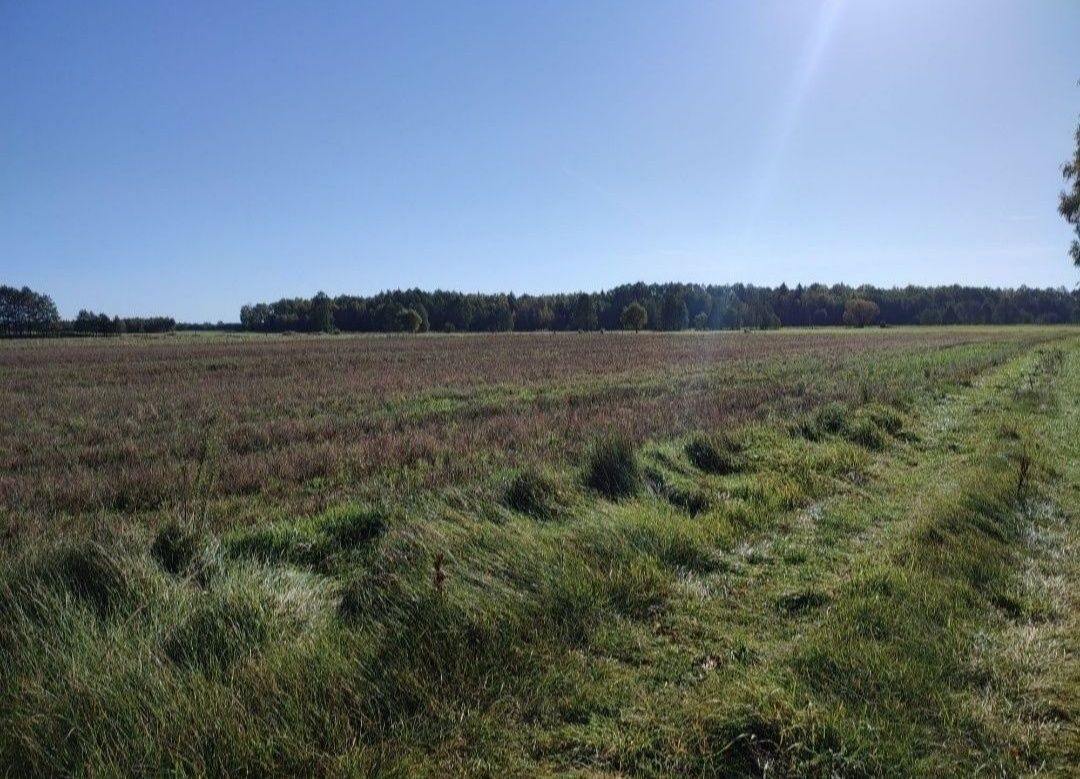 Działka Szczypiornia