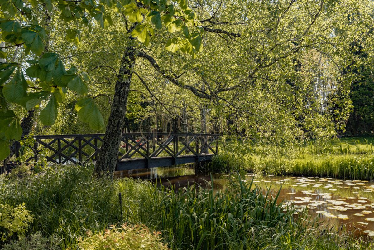dom wolnostojący, 8 pokoi Przyjaźń, ul. Nowowiejska. Zdjęcie 21