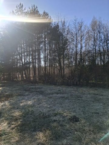 Działka budowlana Nowy Prażmów, ul. Akacjowa. Zdjęcie 12