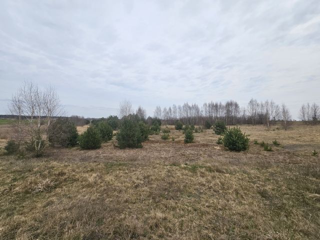 Działka budowlana Nowy Dwór. Zdjęcie 7