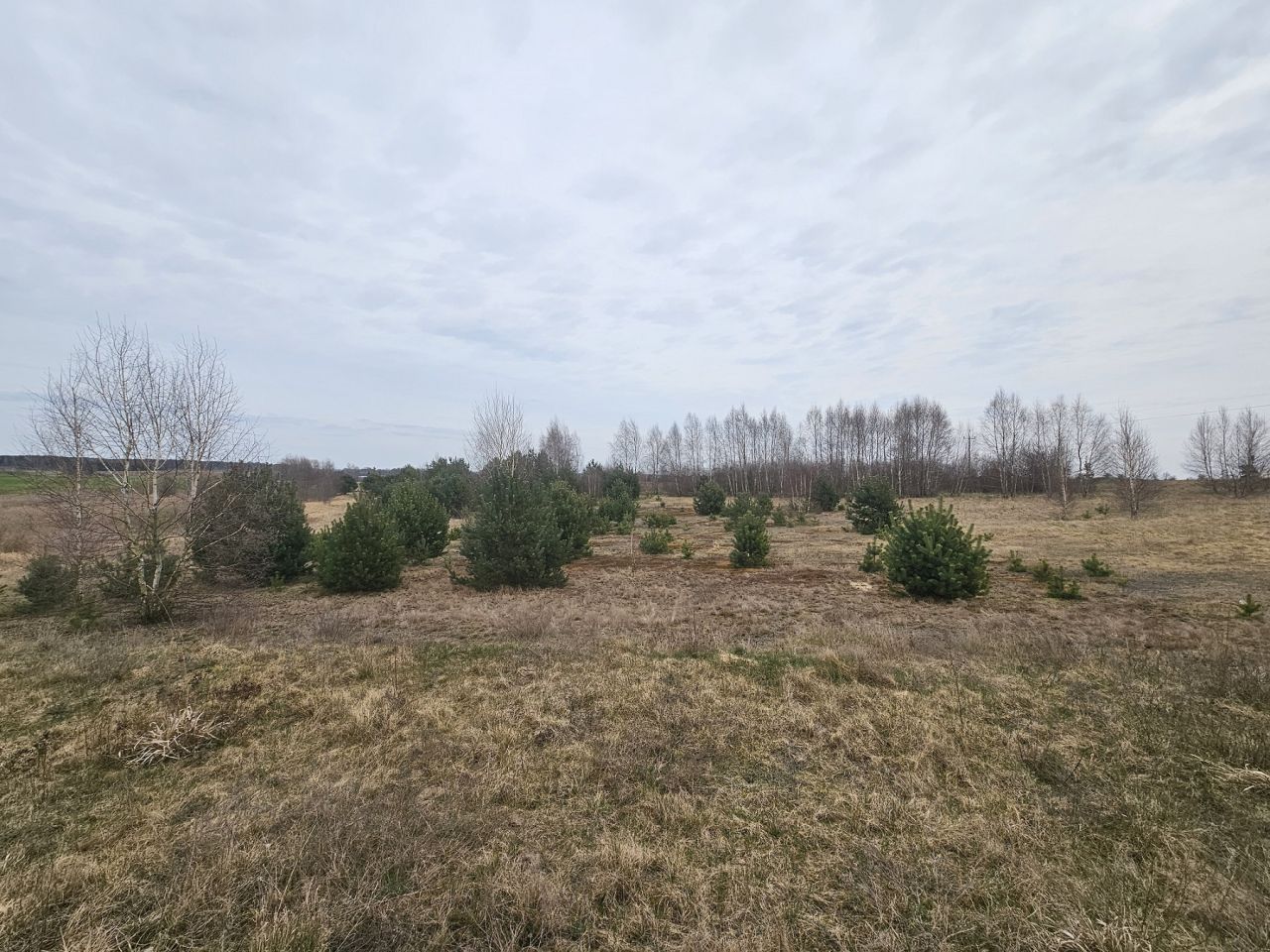 Działka budowlana Nowy Dwór. Zdjęcie 7