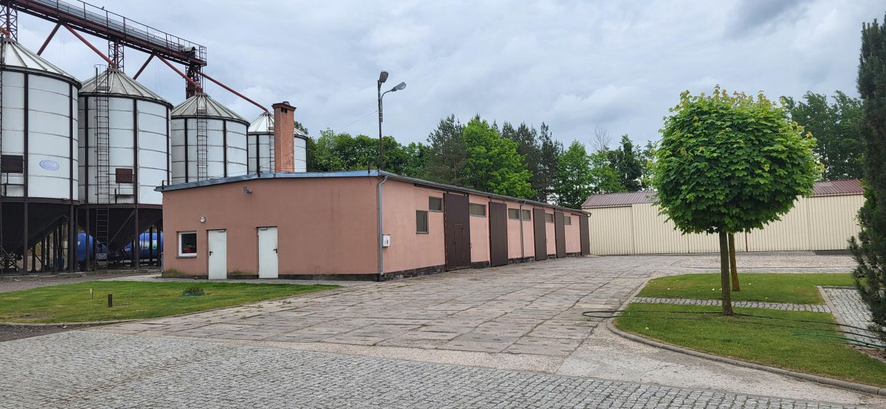 Działka siedliskowa Rychnowo. Zdjęcie 15