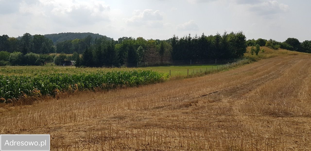 Działka budowlana Świny. Zdjęcie 17