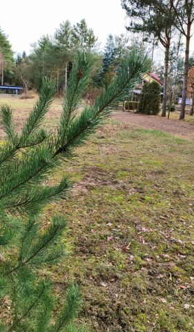 Działka rekreacyjna Kuligów, ul. Warszawska. Zdjęcie 1