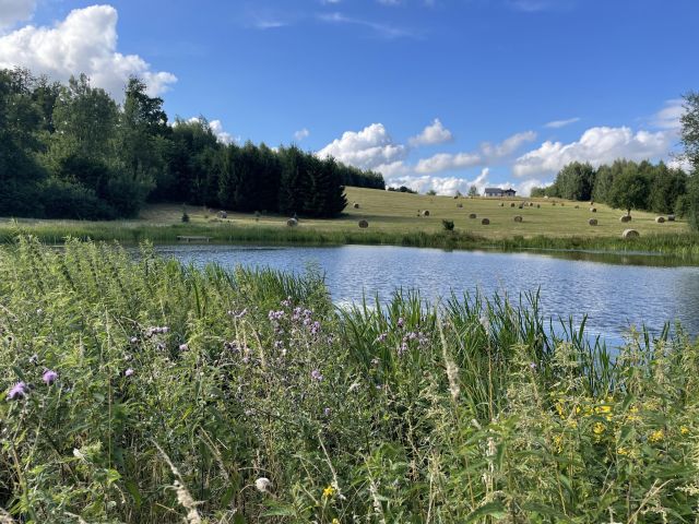 Działka budowlana Rogowo. Zdjęcie 1