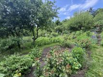 Działka rod Płock Winiary. Zdjęcie 1