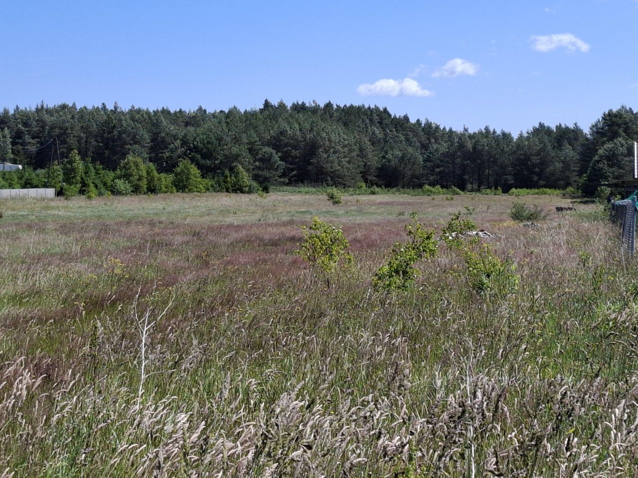 Działka budowlana Domatówko. Zdjęcie 5