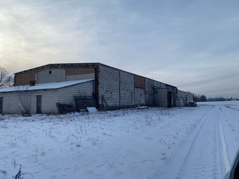 Hala/magazyn Borki. Zdjęcie 5