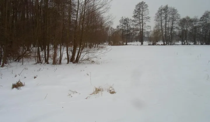 Działka rolno-budowlana Małe Łunawy
