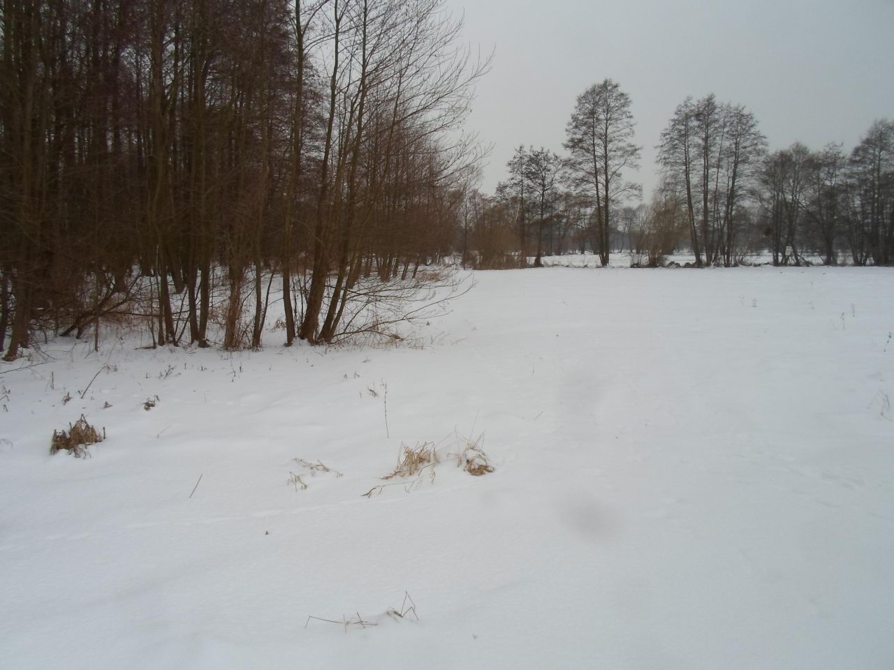Działka Małe Łunawy