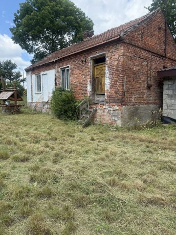 Działka siedliskowa Lisów. Zdjęcie 1