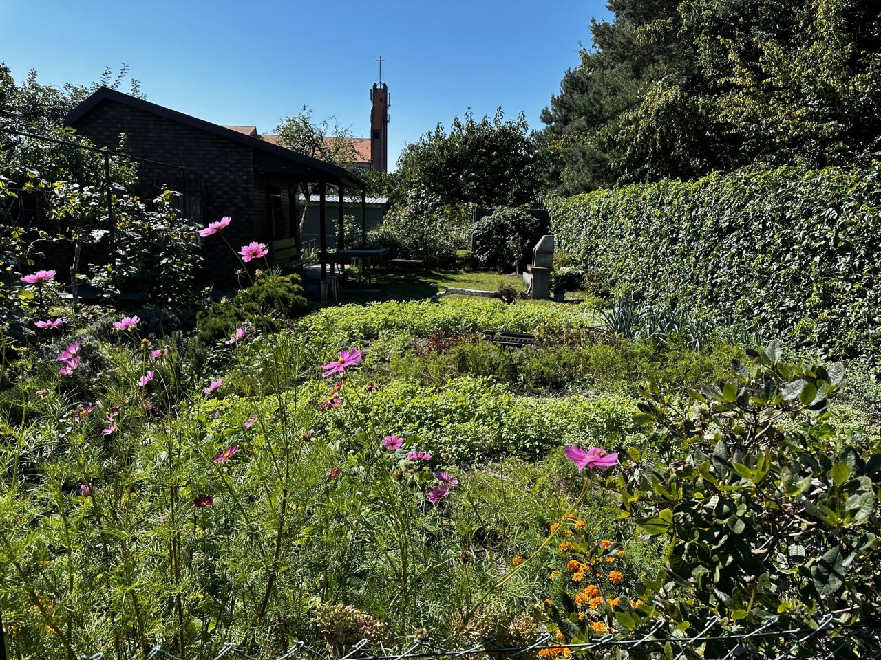 Działka rod Jelcz-Laskowice Centrum, ul. Oławska. Zdjęcie 4