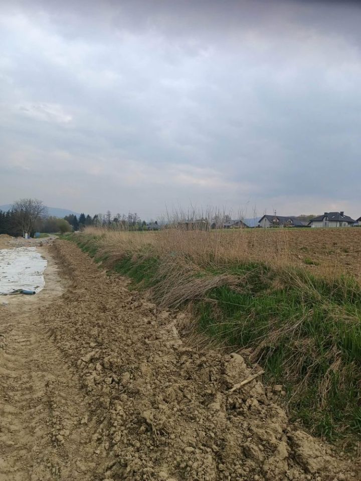 Działka budowlana Międzyrzecze Dolne. Zdjęcie 4