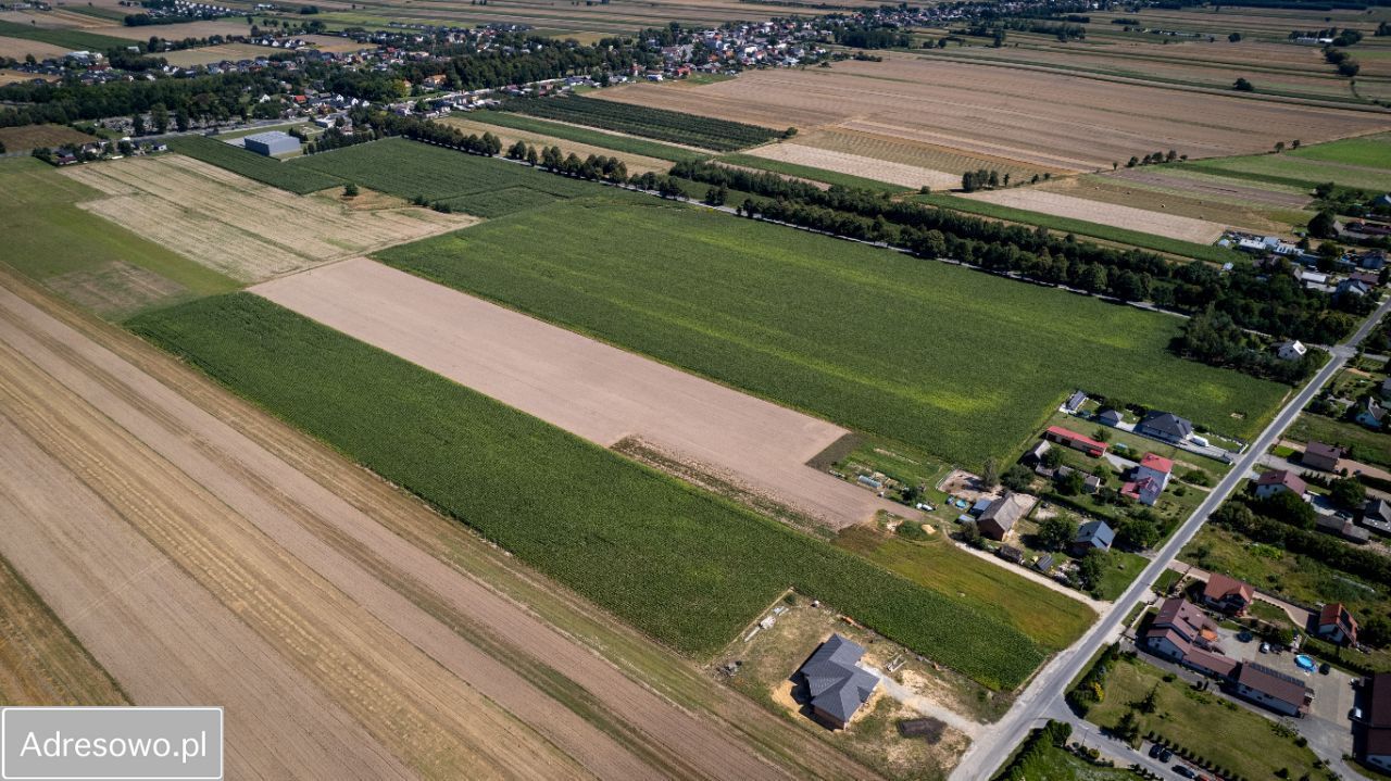 Działka inwestycyjna Sokolniki. Zdjęcie 5