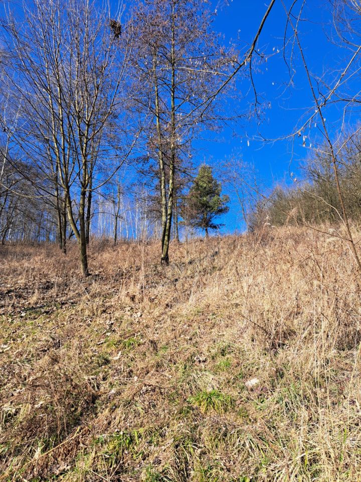 Działka budowlana Wysiołek Luborzycki, ul. Miodowa. Zdjęcie 5