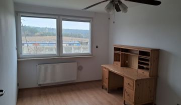 Mieszkanie 1-pokojowe Głębowice