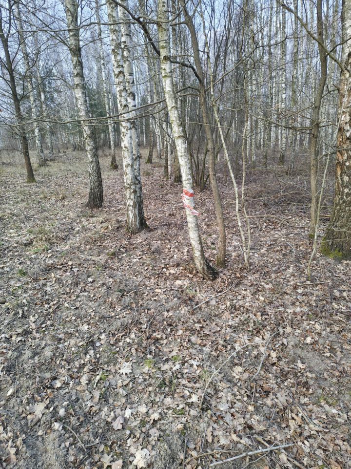 Działka rolno-budowlana Joachimów-Mogiły. Zdjęcie 6