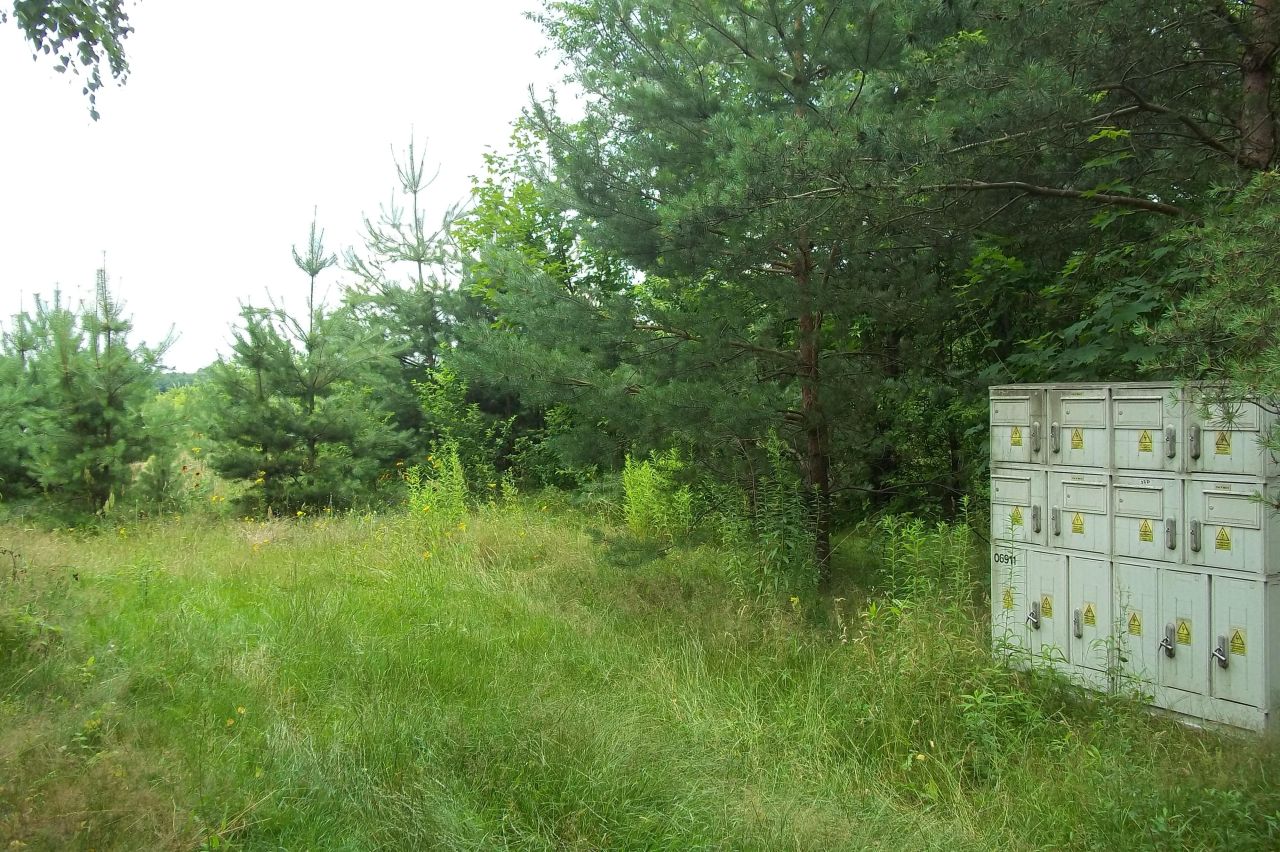 Działka rekreacyjna Dzierżązna, ul. Polna. Zdjęcie 4