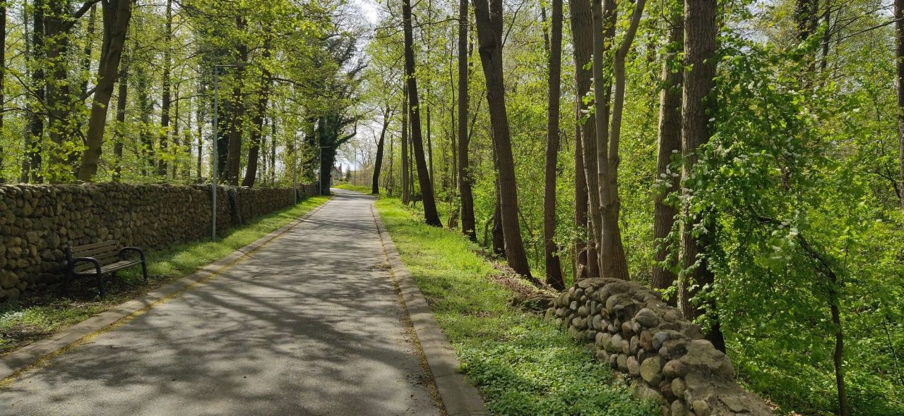 Działka budowlana Kaźmierzów. Zdjęcie 7