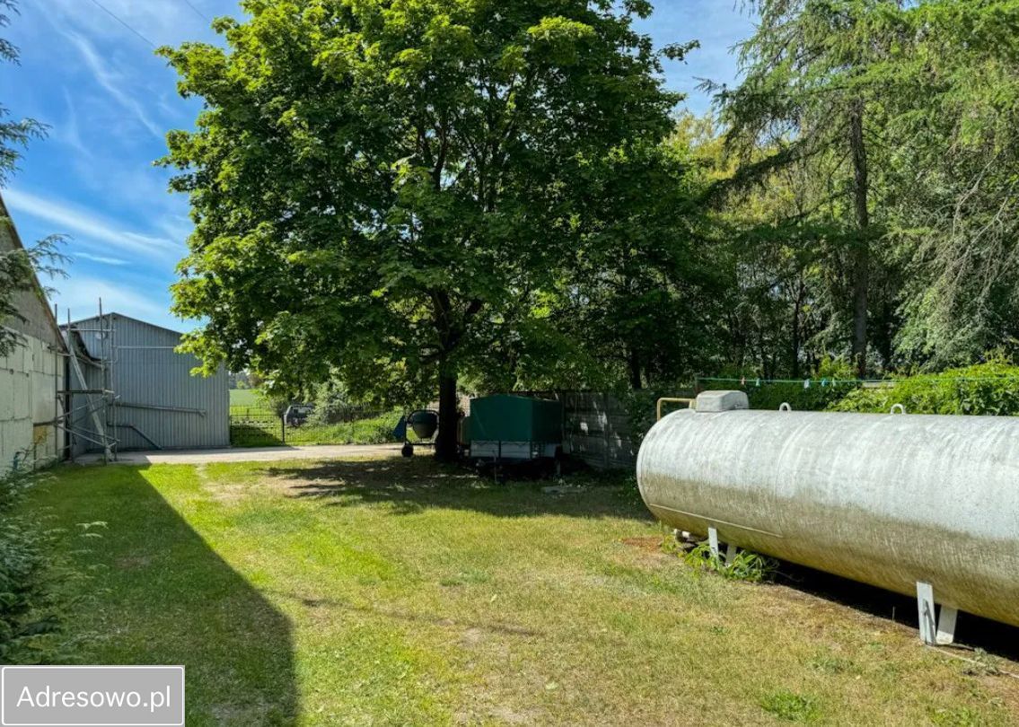 Hala/magazyn Dąbrówka-Wyłazy. Zdjęcie 5