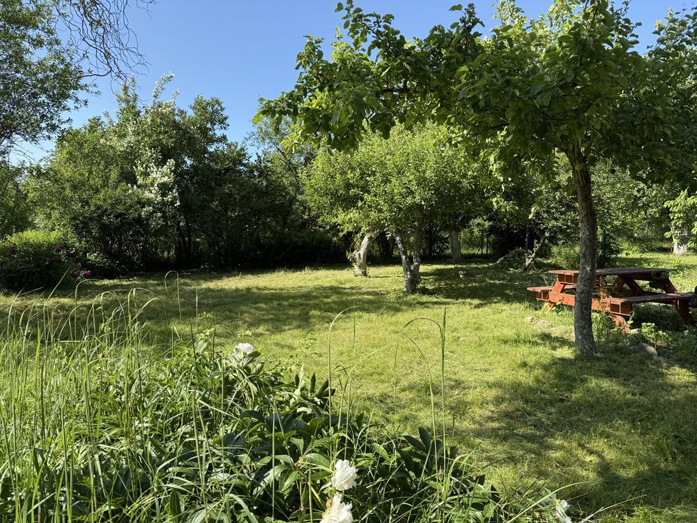 Działka rod Koszalin. Zdjęcie 2