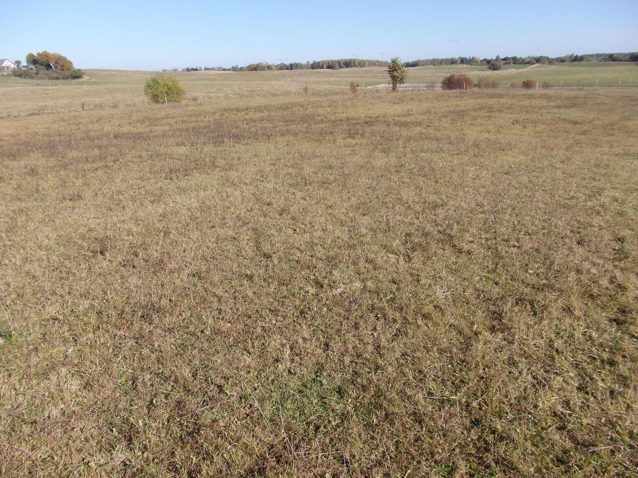 Działka rolno-budowlana Gady. Zdjęcie 9