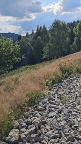 Działka budowlana Kocierz Rychwałdzki. Zdjęcie 8