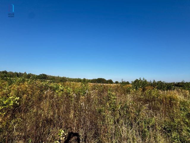 Działka inwestycyjna Stary Imielnik. Zdjęcie 2