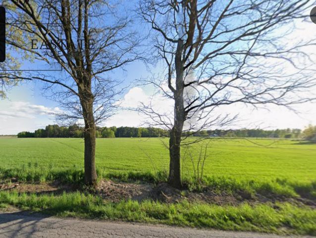 Działka inwestycyjna Trojany. Zdjęcie 3