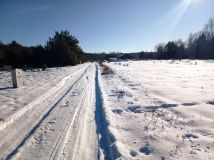 Działka budowlana Arciechów, ul. Starorzecze. Zdjęcie 3