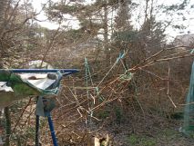 Działka budowlana Kanie. Zdjęcie 4