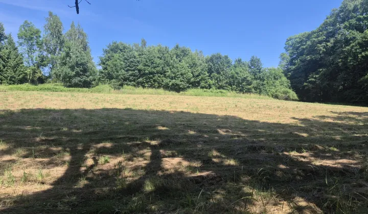 Działka rekreacyjna Świerzawa